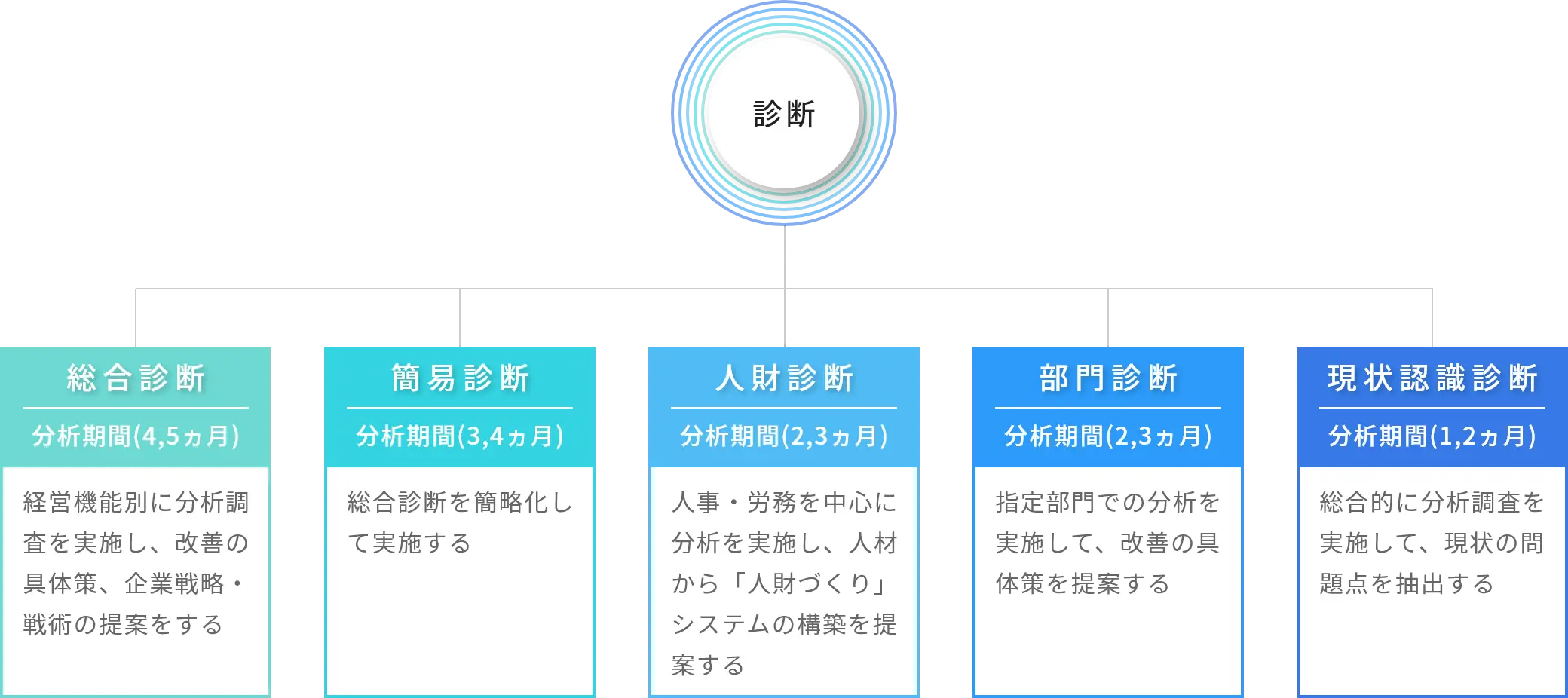 診断の種類